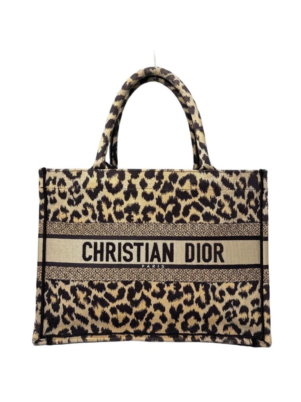 Dior Book Tote Bag